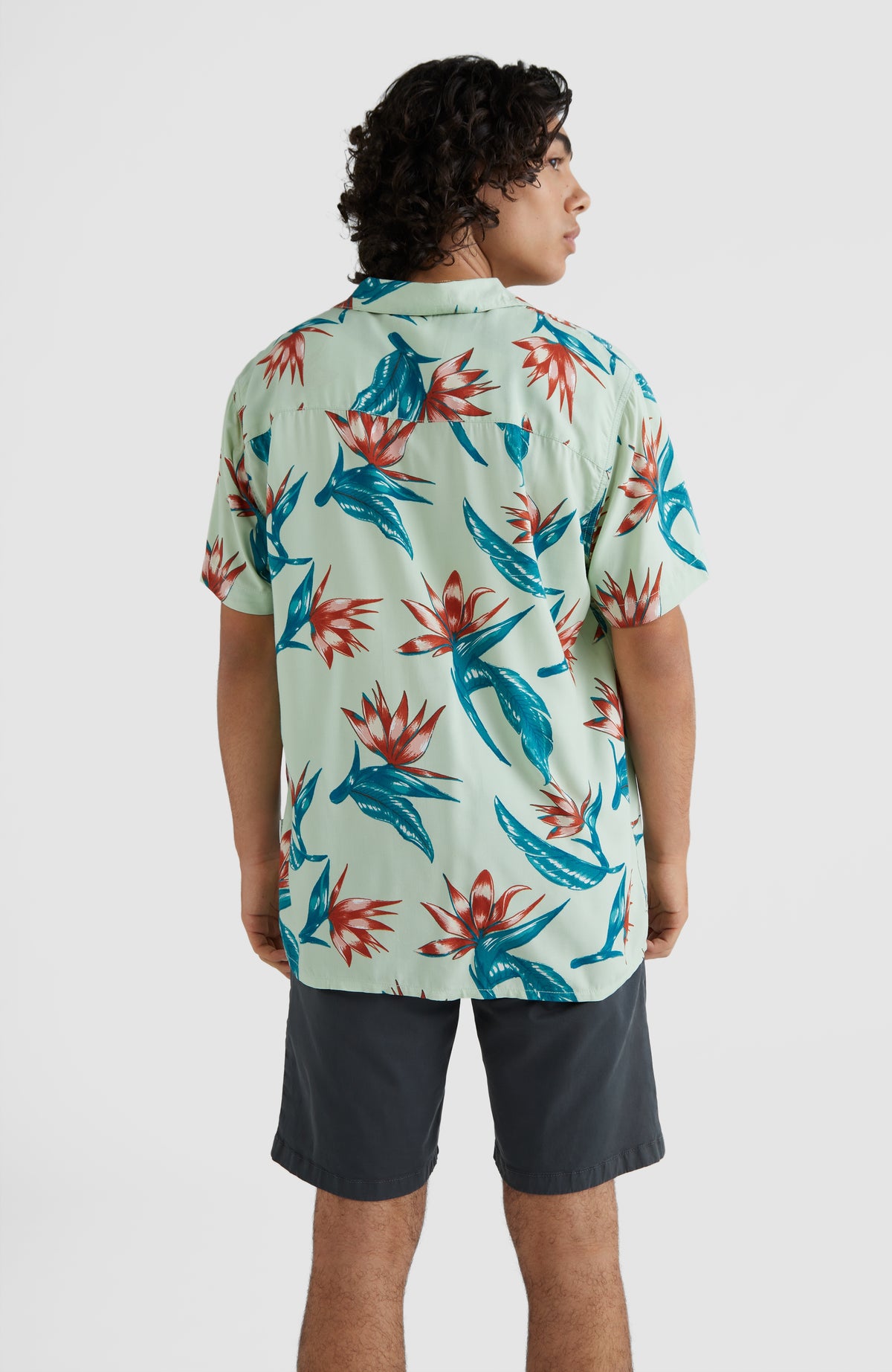 Coast Shirt | Green AO 6