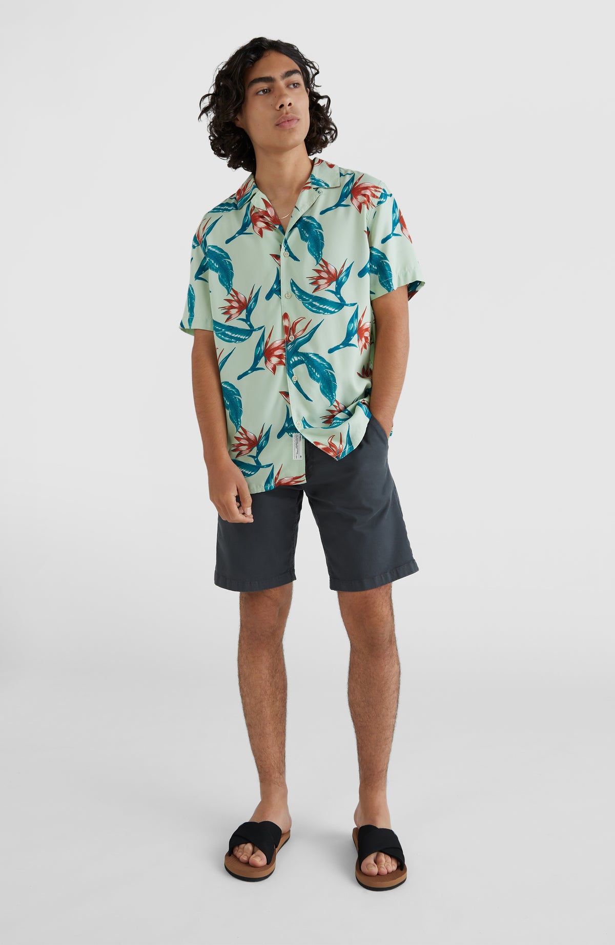 Coast Shirt | Green AO 6
