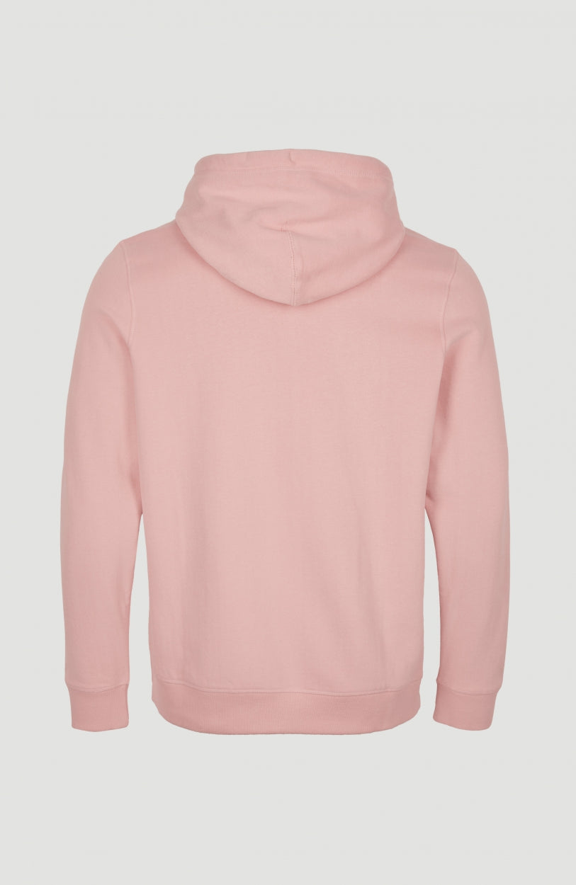 Kelp Hoodie Sweatshirt | Coral Cloud