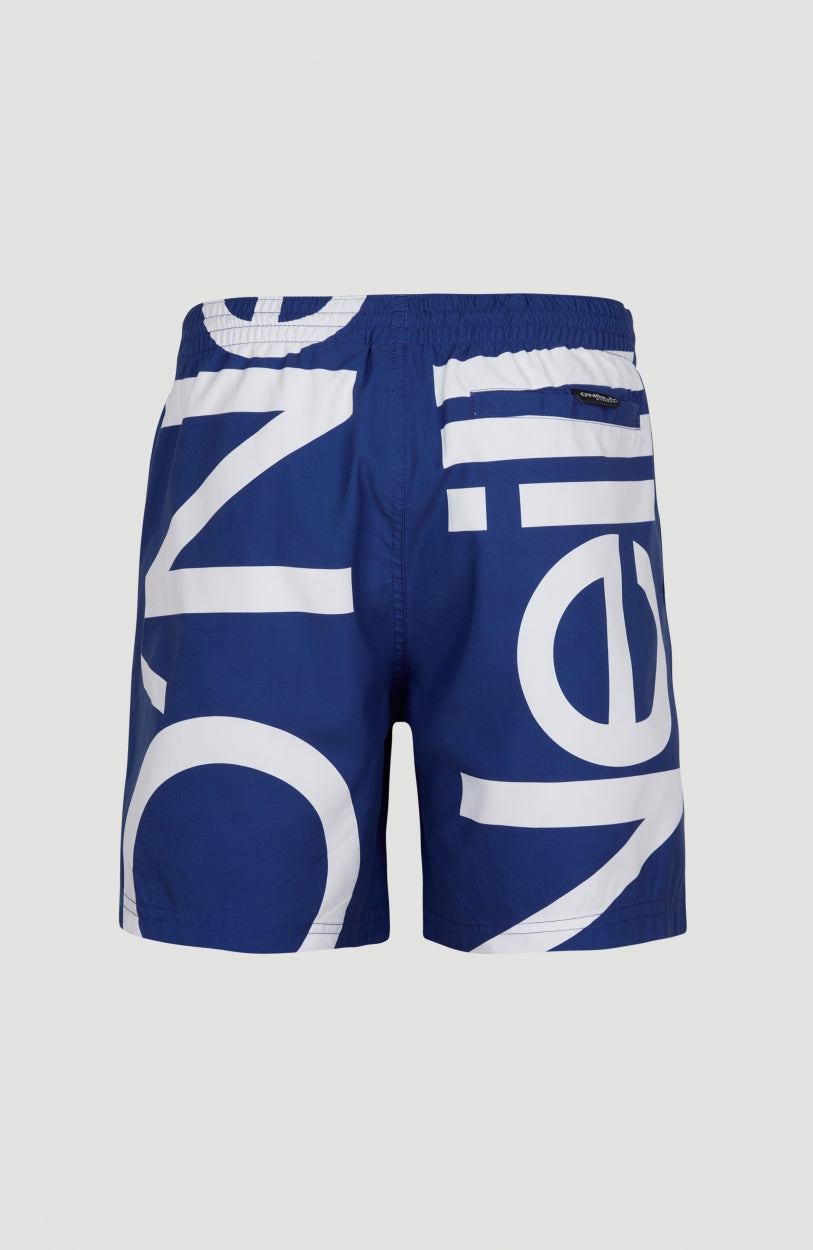 Cali Zoom Swim Shorts 16