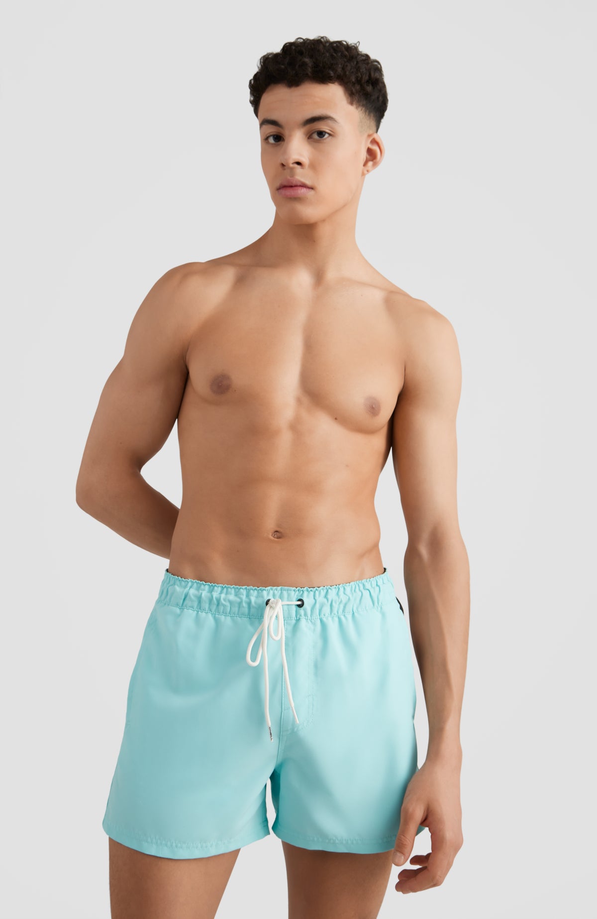 Cali Panel Swim Shorts 14