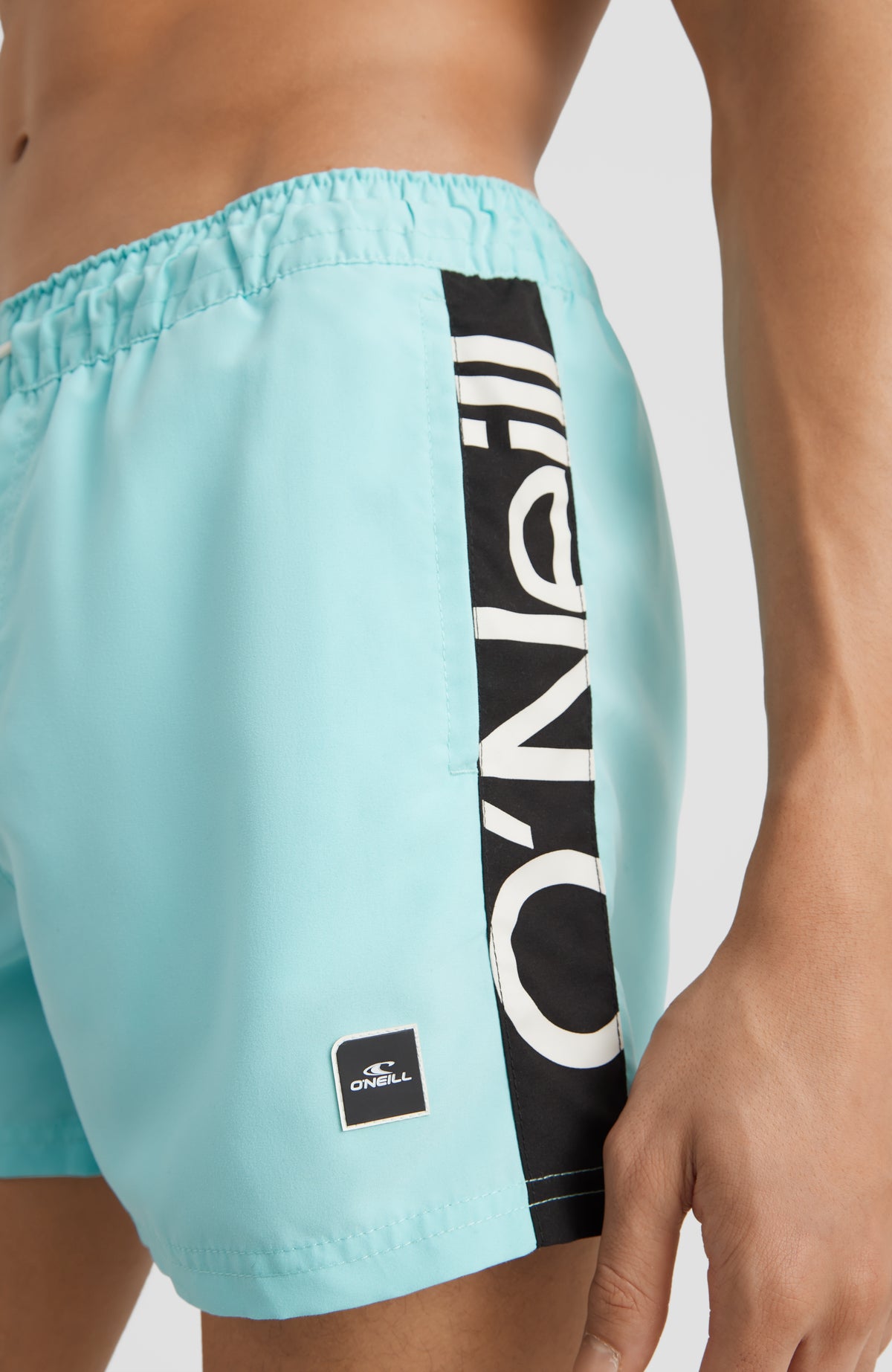 Cali Panel Swim Shorts 14