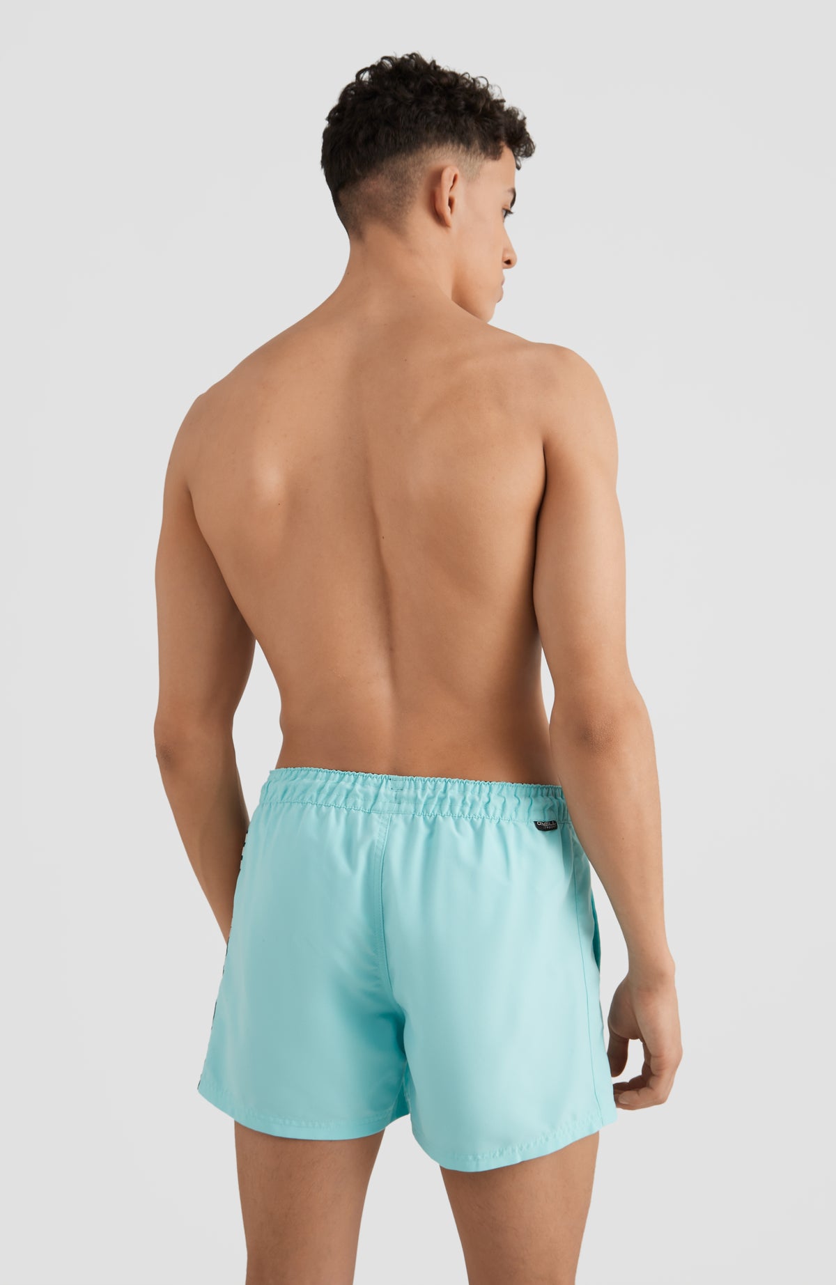 Cali Panel Swim Shorts 14