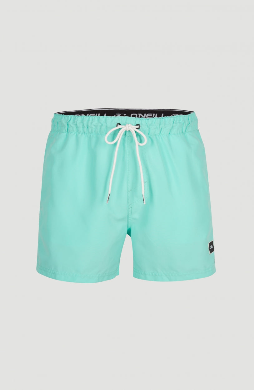 Cali Panel Swim Shorts 14