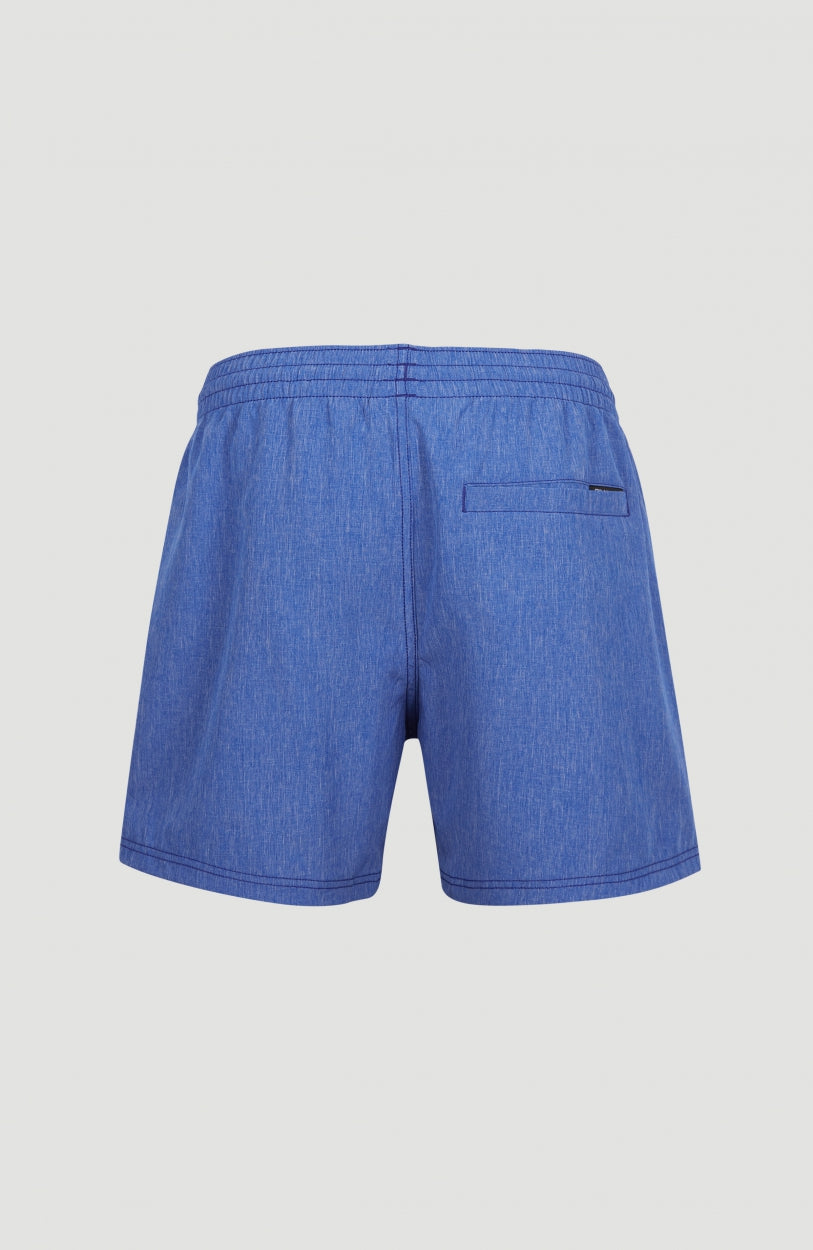 Full Stretch Swim Shorts 15