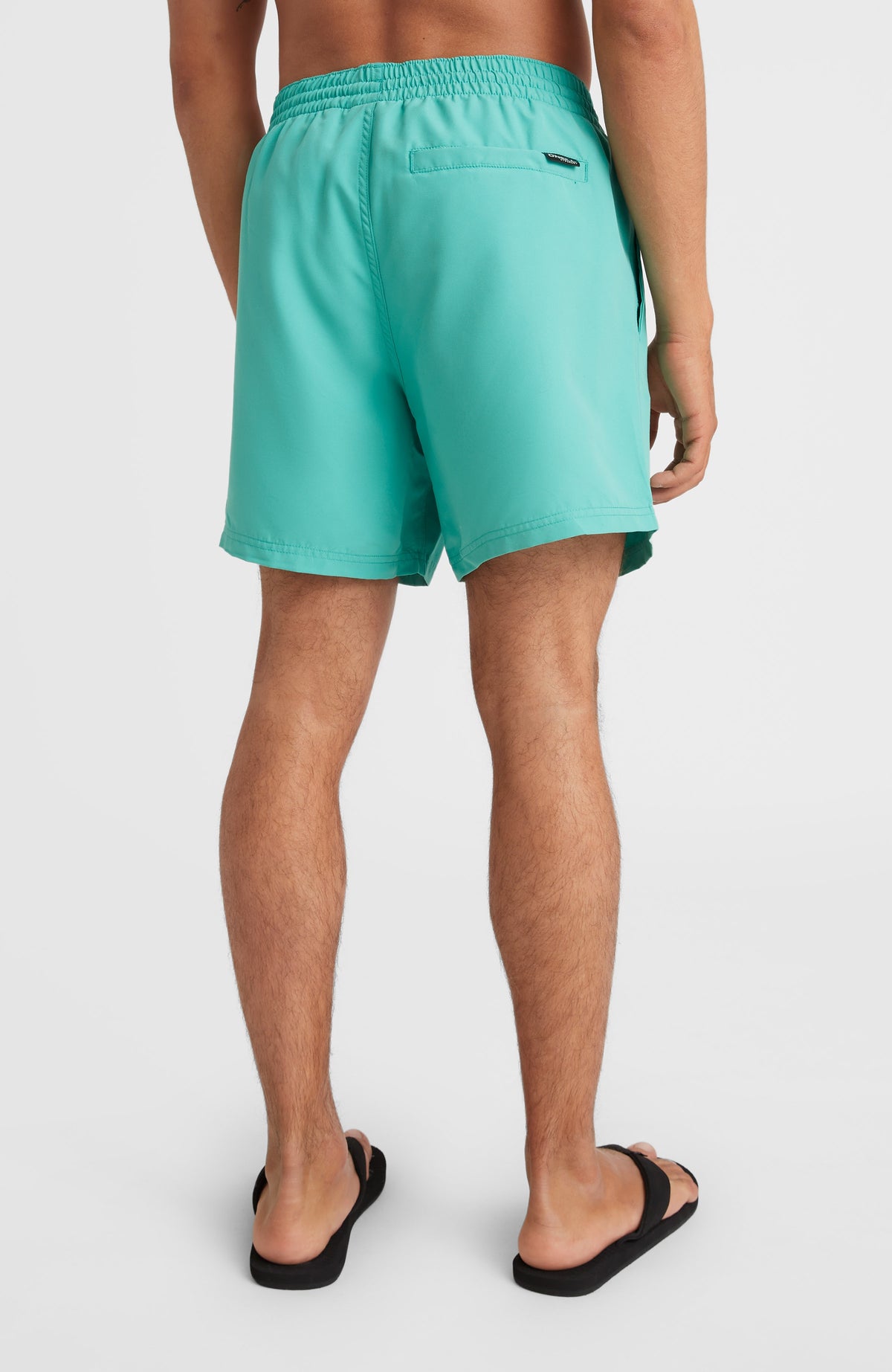 Cali State 15'' Swim Shorts | Sea Green