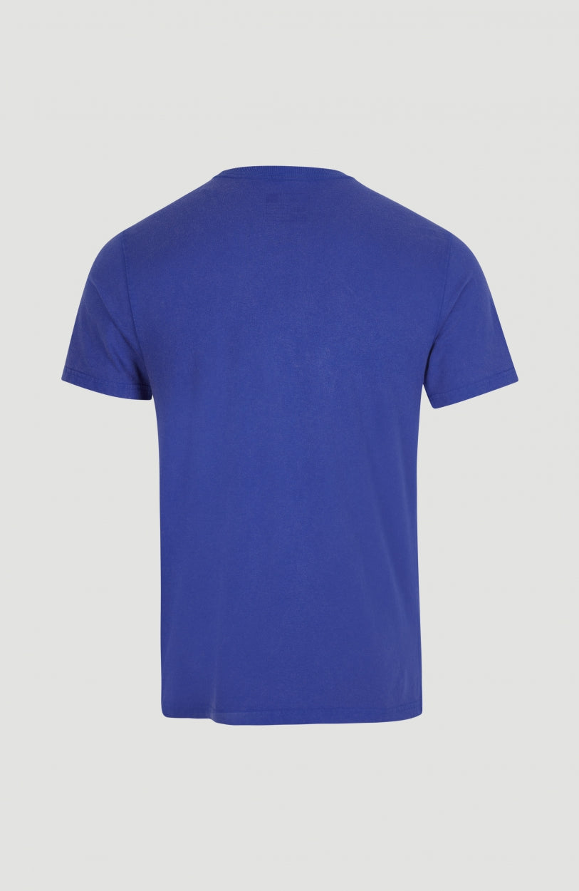 Bays T-Shirt | Surf the web Blue
