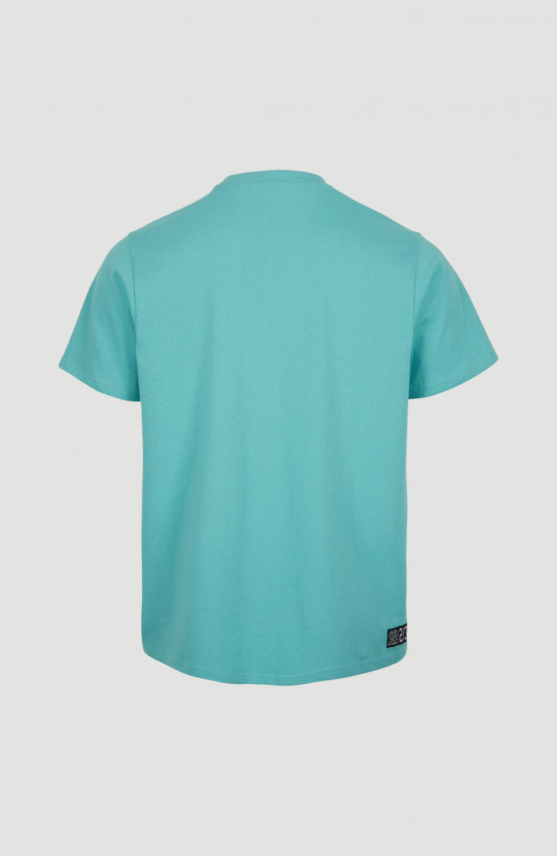 Surf Dude T-Shirt | Aqua Sea
