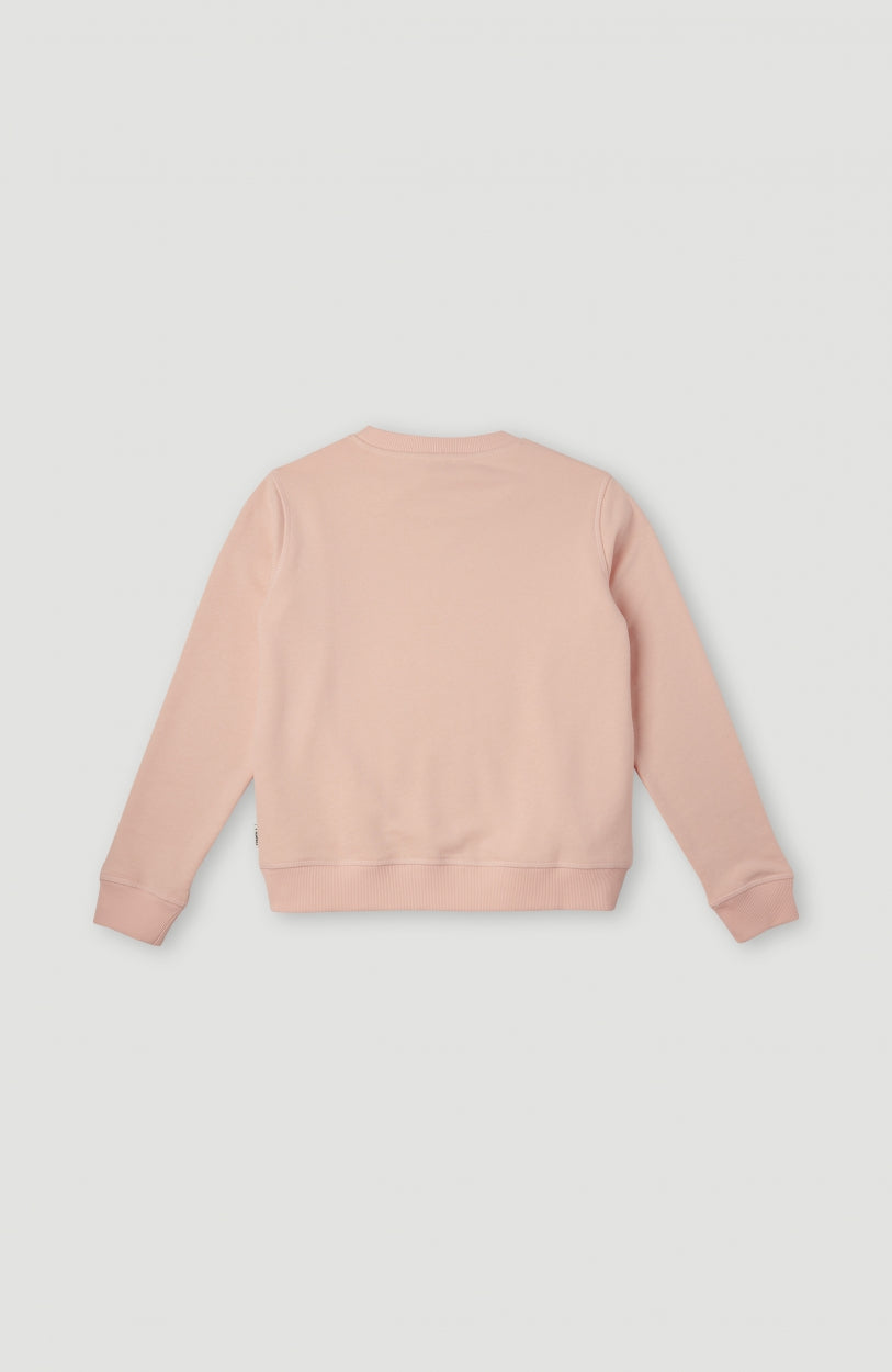 All Year Crew Sweatshirt | Tropical Peach
