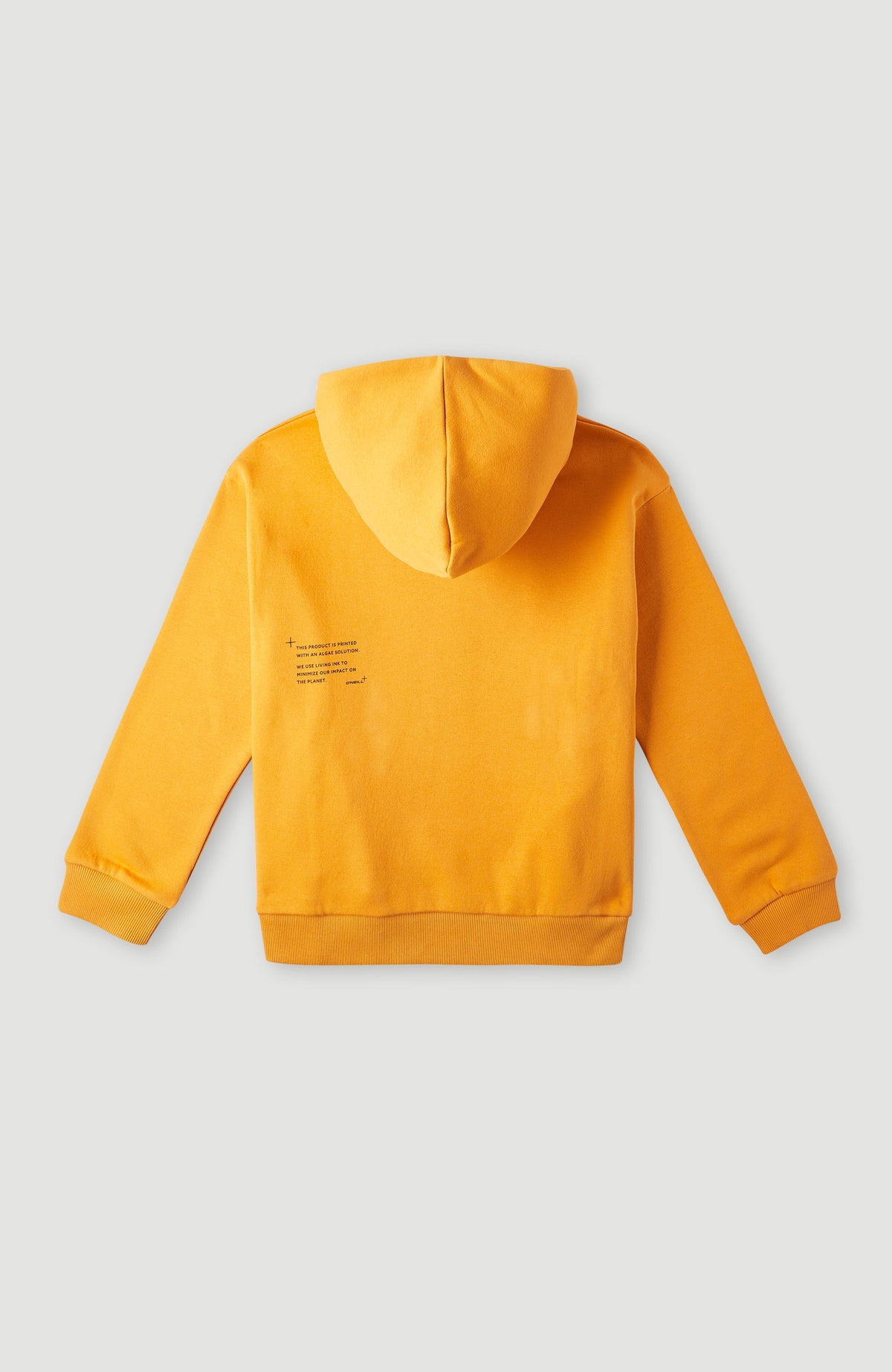 Future Surf Hoodie | Nugget