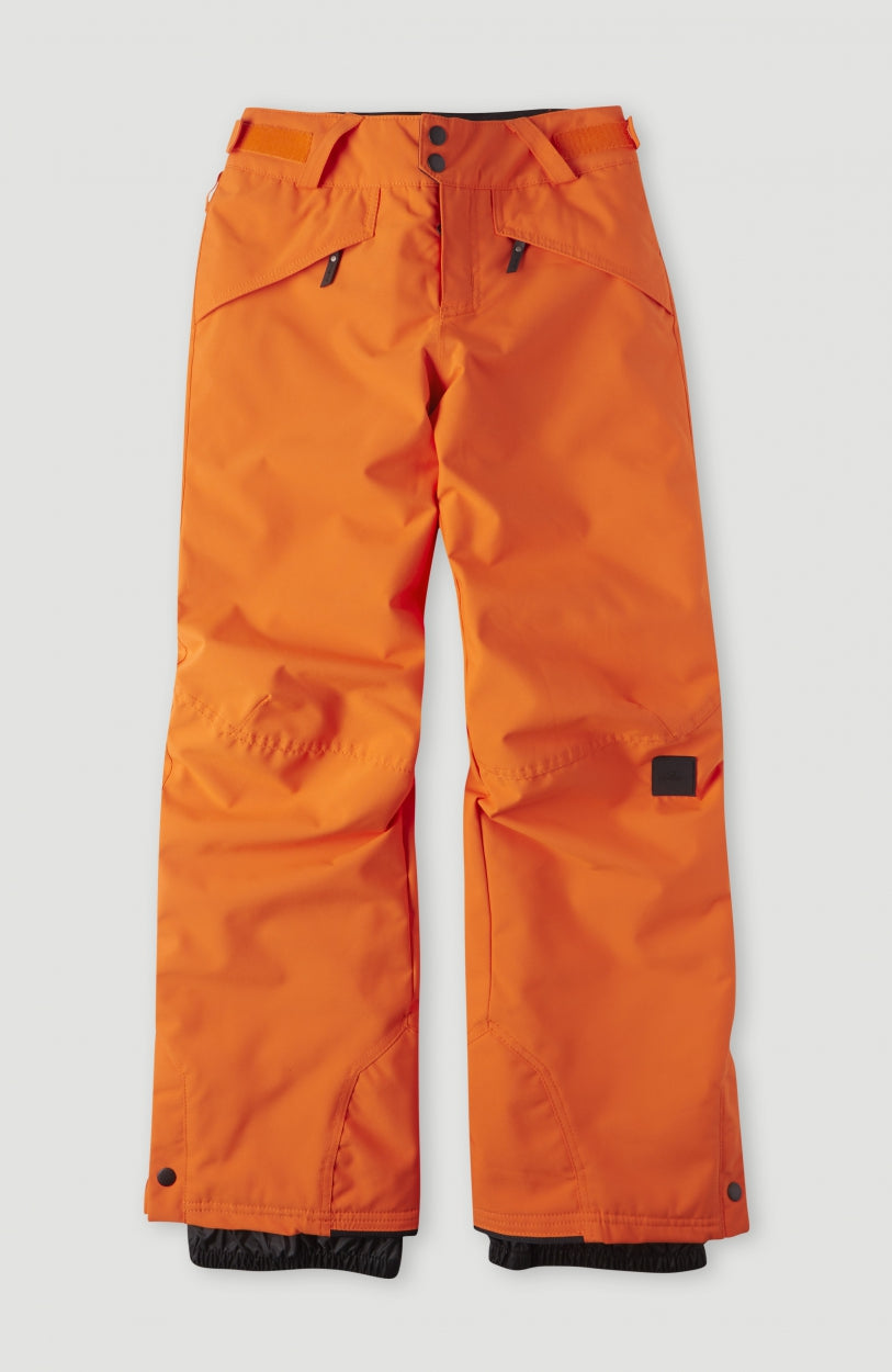Anvil Snow Pants | Puffin's Bill