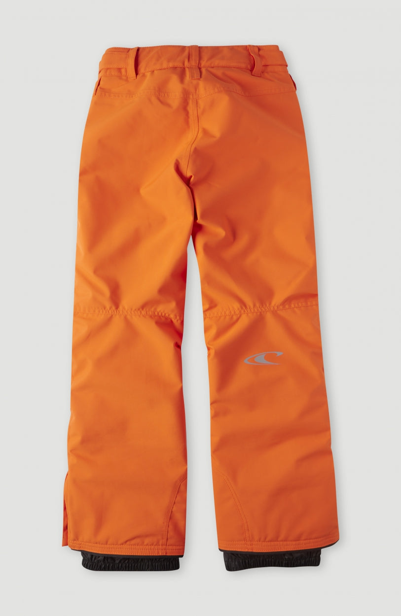 Anvil Snow Pants | Puffin's Bill
