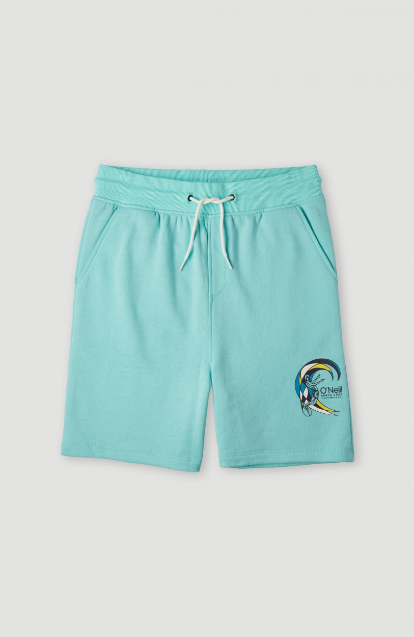 Circle Surfer Sweatshorts | Aqua Spalsh