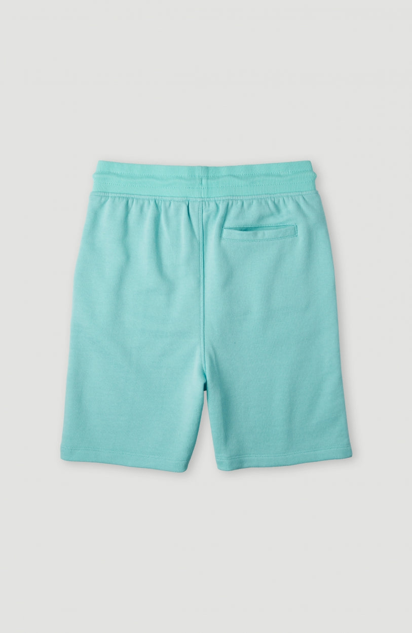 Circle Surfer Sweatshorts | Aqua Spalsh