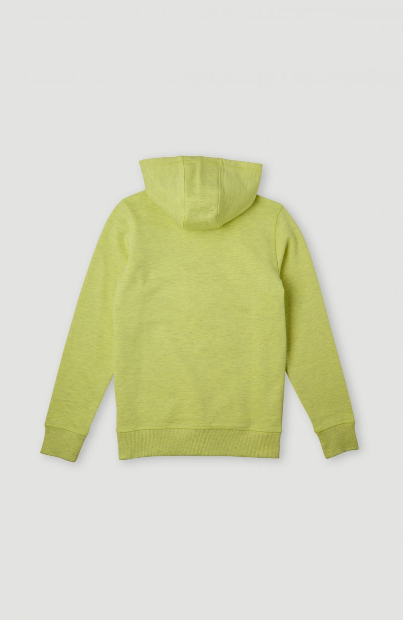 Circle Surfer Multi Hoodie | Sunny Lime