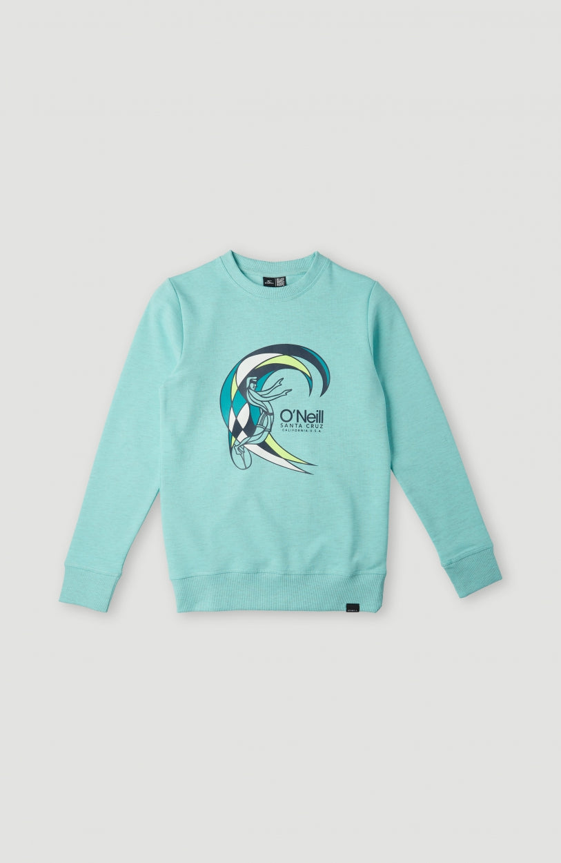 Circle Surfer Multi Crew Sweatshirt | Aqua Spalsh
