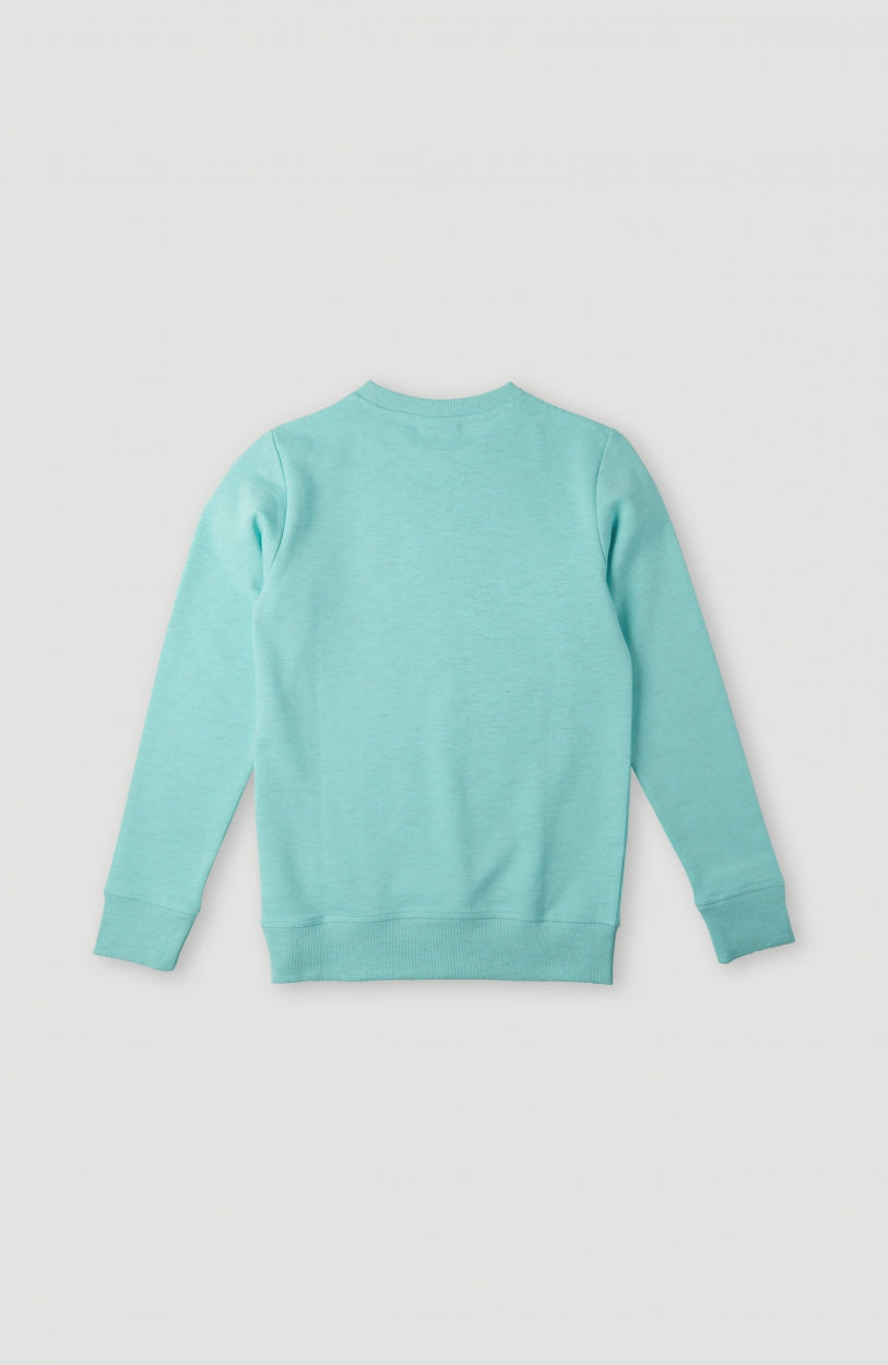 Circle Surfer Multi Crew Sweatshirt | Aqua Spalsh