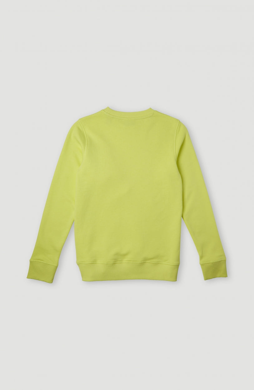 All Year Crew Sweatshirt | Sunny Lime