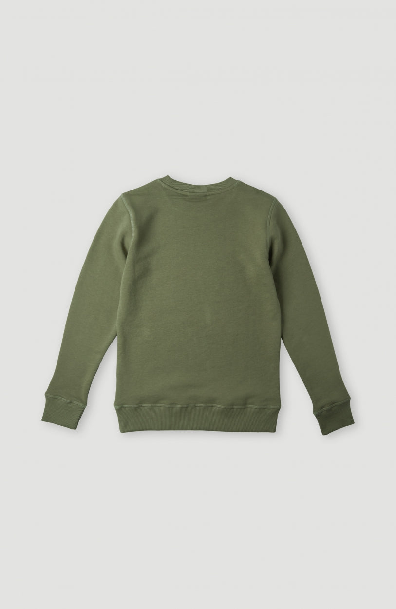 All Year Crew Sweatshirt | Deep Lichen Green