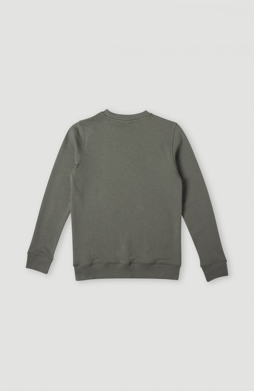 Cube Crew Sweatshirt | Military Green