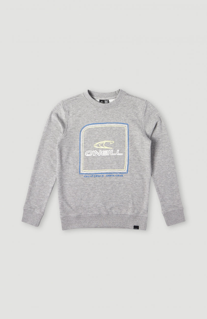 Cube Crew Sweatshirt | Silver Melee
