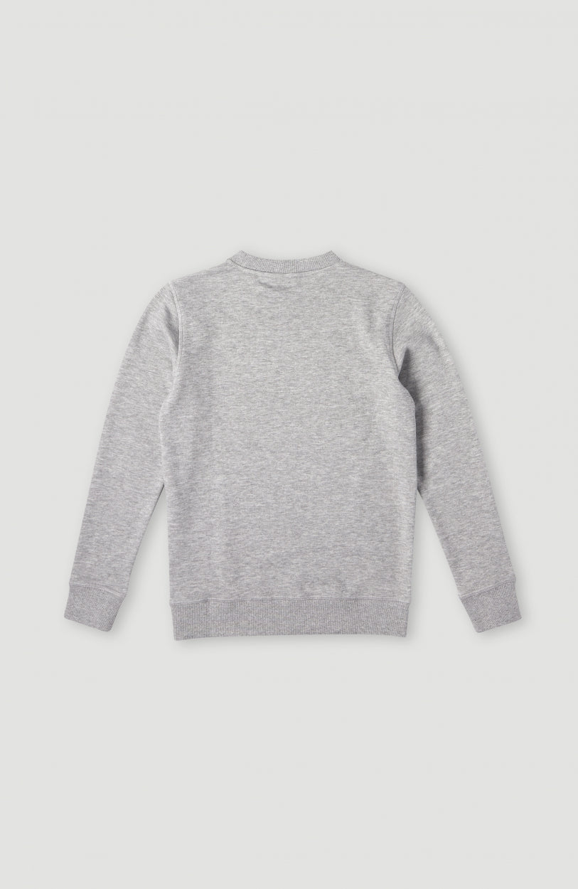 Cube Crew Sweatshirt | Silver Melee