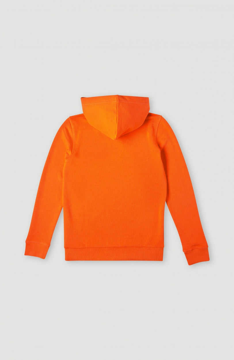 Cube Hoodie | Puffin's Bill
