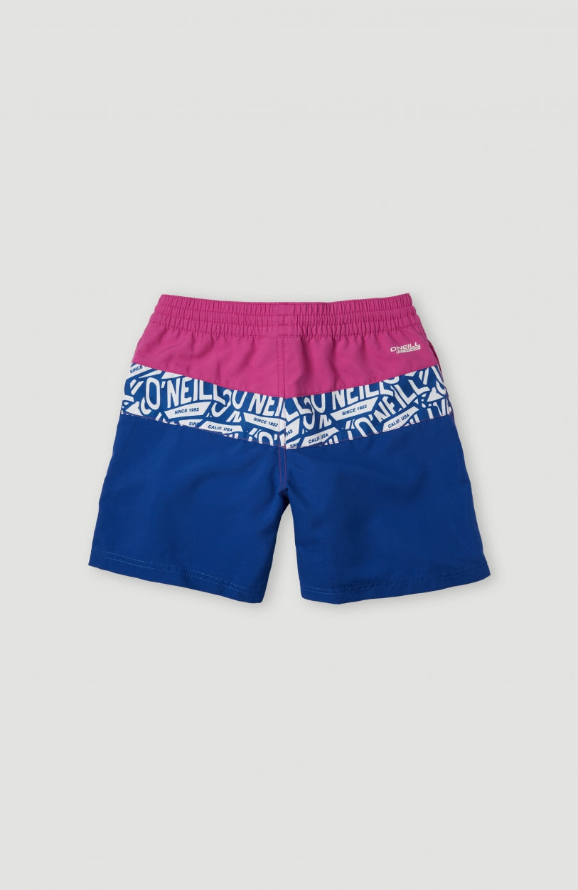 Block Swim Shorts 13