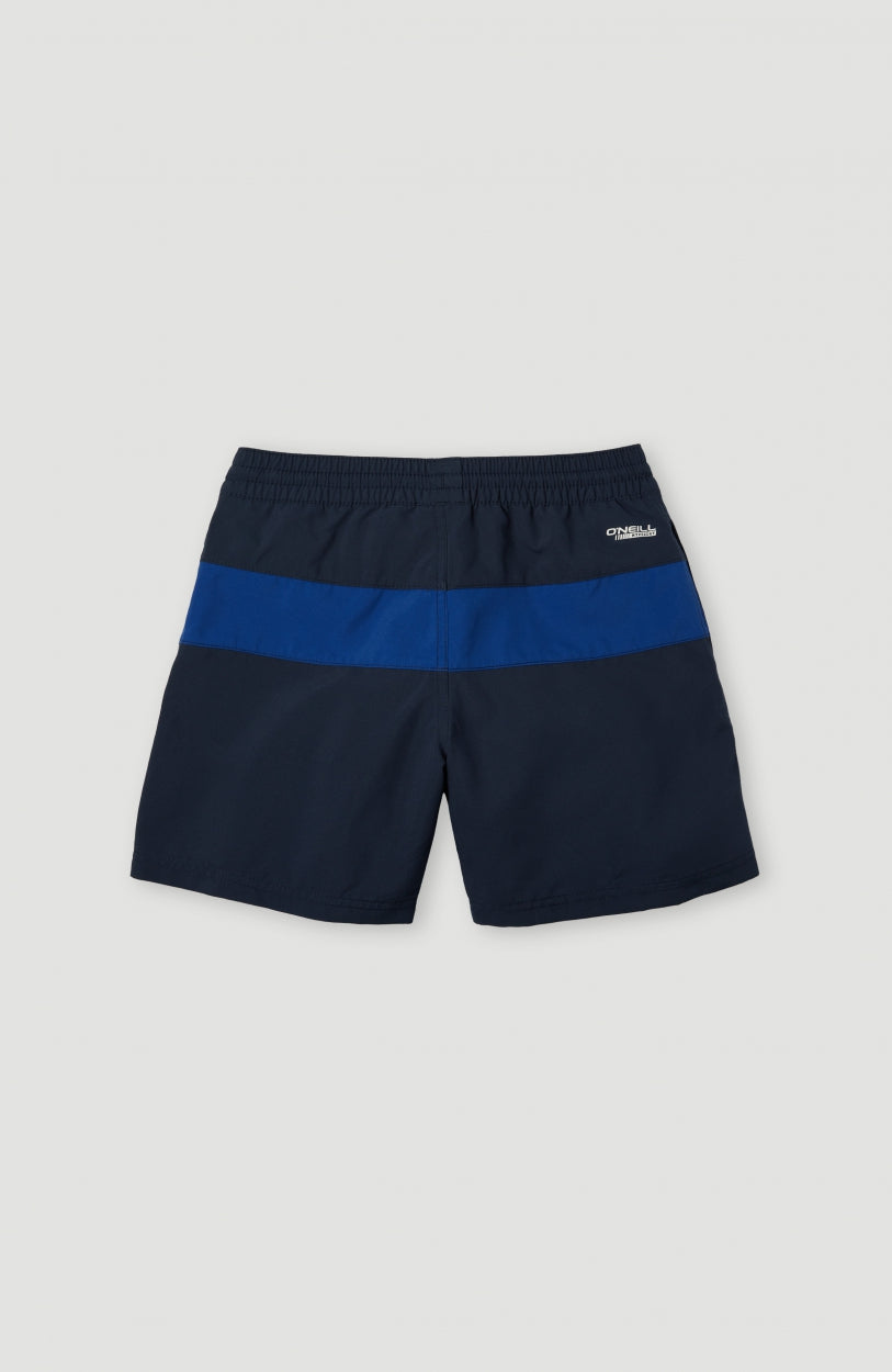 Block Swim Shorts 13