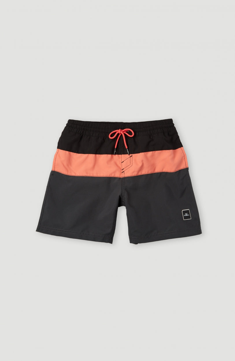 Block Swim Shorts 13