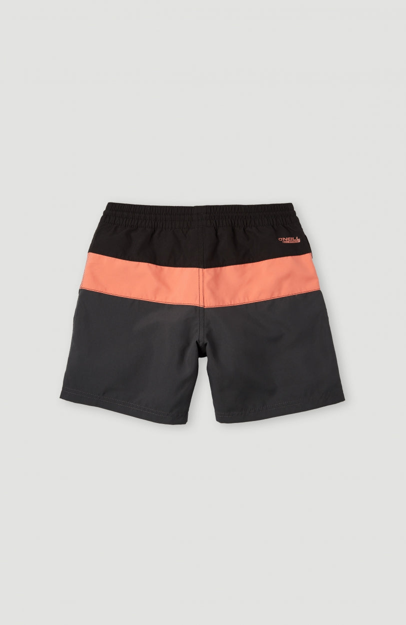 Block Swim Shorts 13