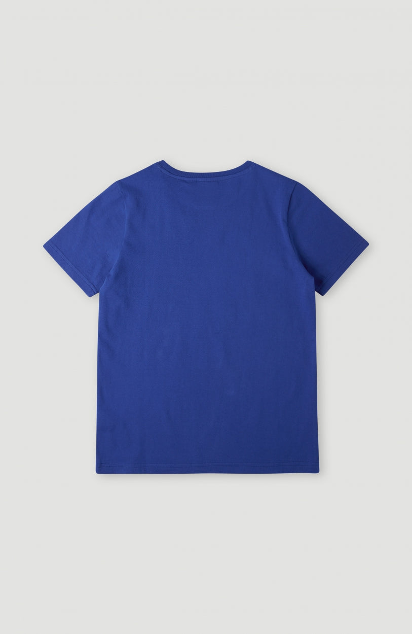 Cali Zoom T-Shirt | Surf the web Blue