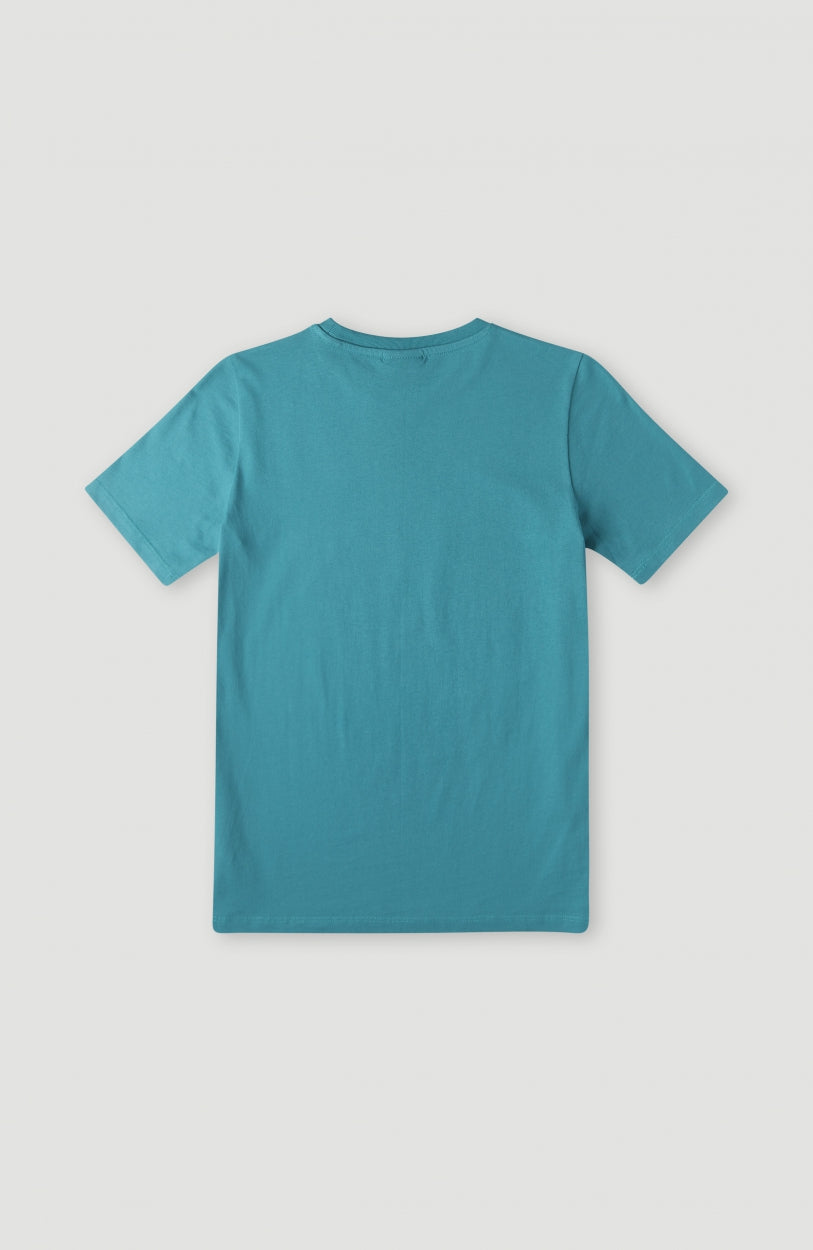 O'Riginal Surfer T-Shirt | Harbour Blue