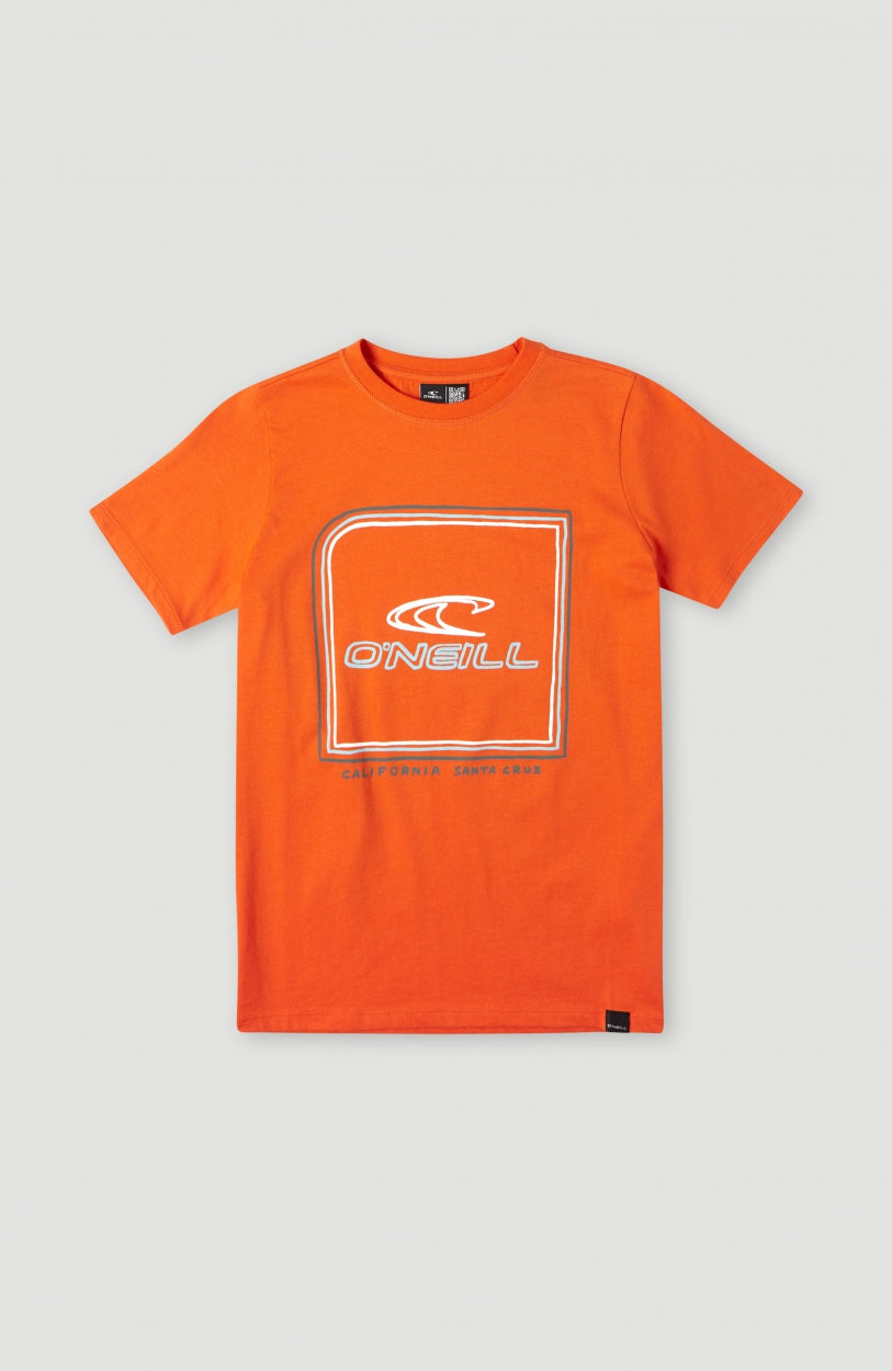 Cube T-Shirt | Puffin's Bill