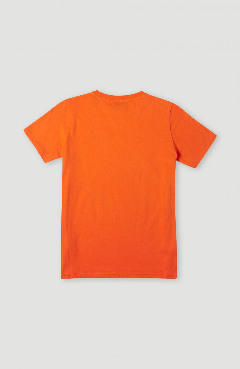 Cube T-Shirt | Puffin's Bill