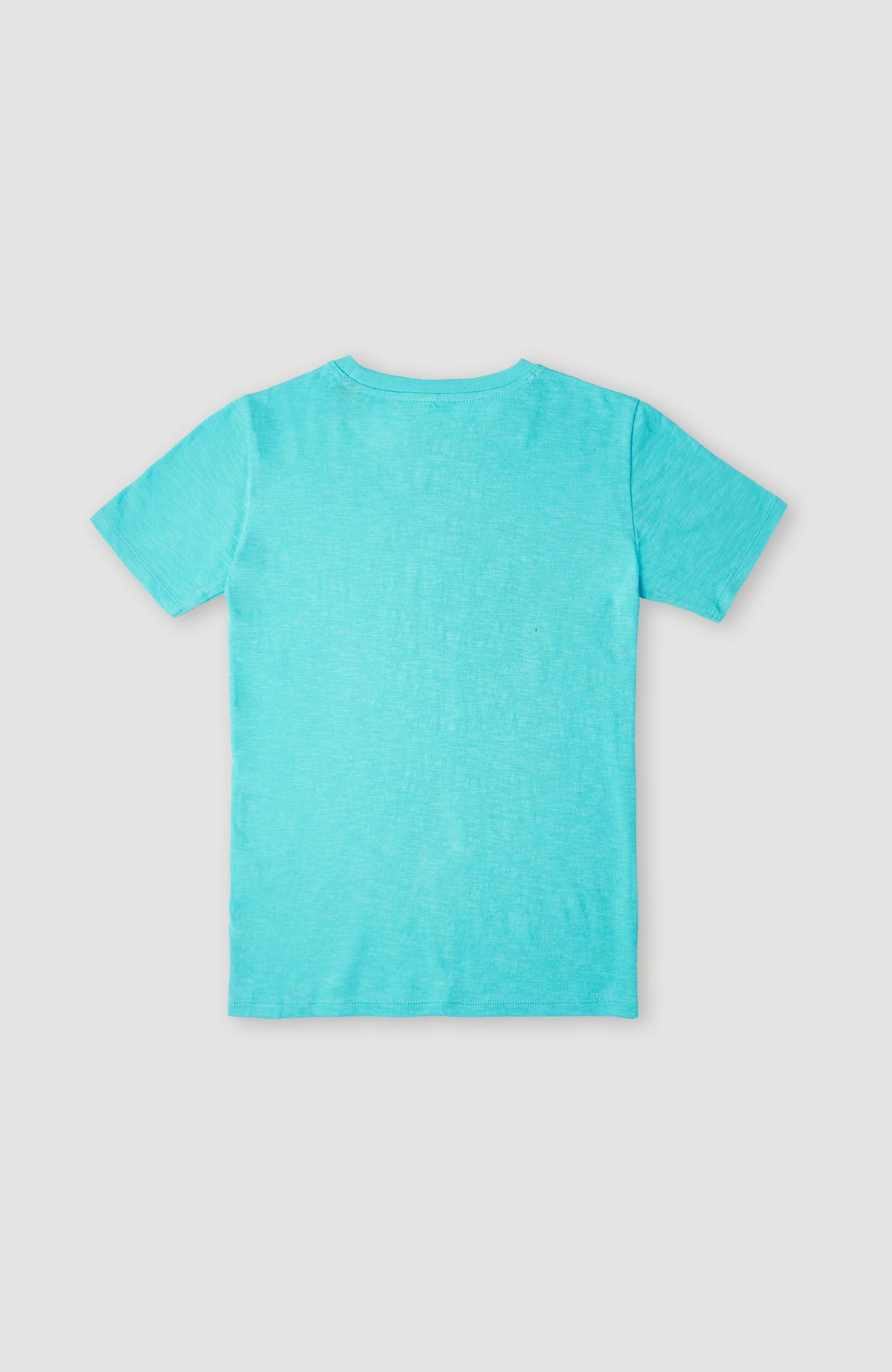 Circle Surfer T-Shirt | Bachelor Button