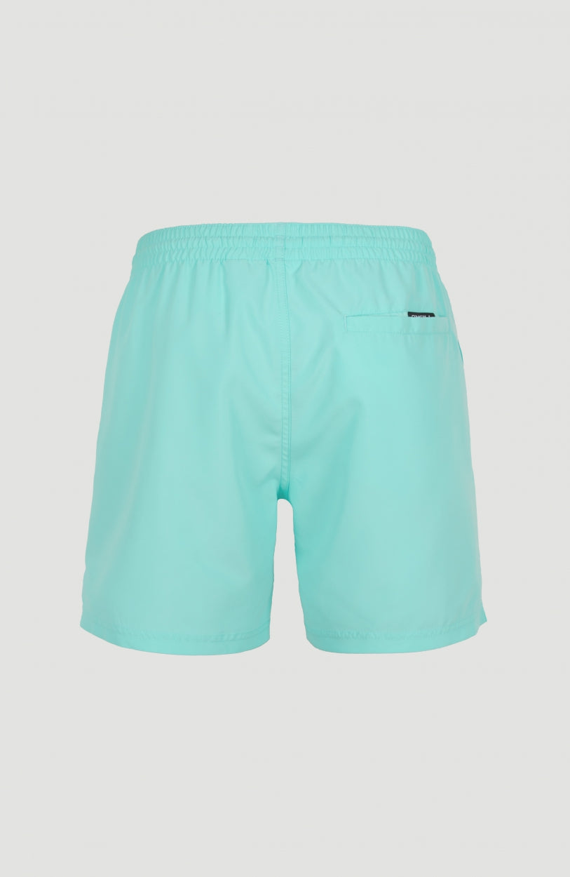 Cali Swim Shorts | Aqua Spalsh