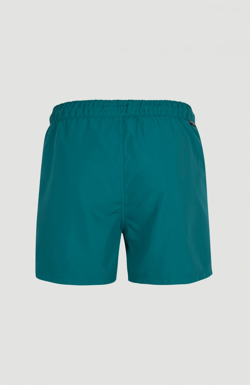 Cali Panel Swim Shorts 14