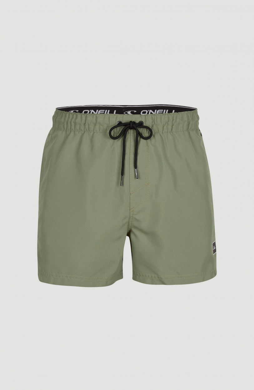 Cali Panel Swim Shorts 14