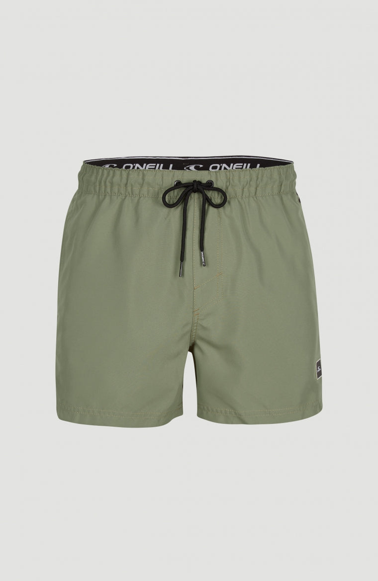 Cali Panel Swim Shorts 14