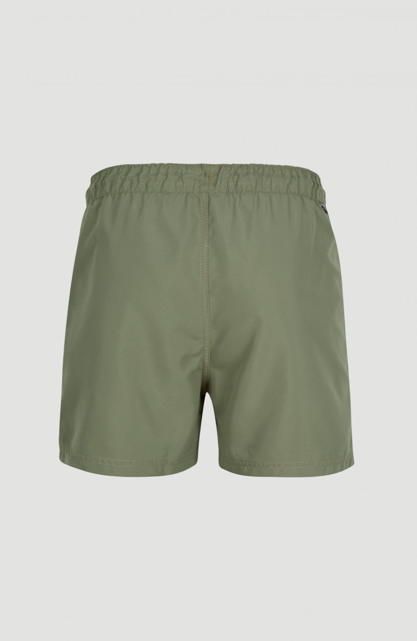 Cali Panel Swim Shorts 14