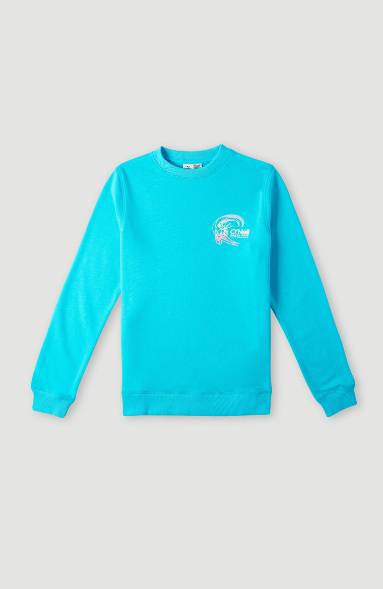 Circle Surfer Crew Sweatshirt | Bachelor Button