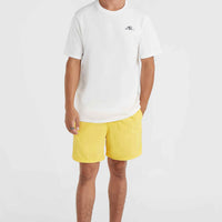Vert 16'' Swim Shorts | Dandelion