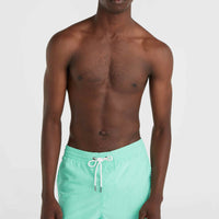 Vert 16'' Swim Shorts | Prism Pink