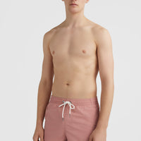 Vert 16'' Swim Shorts | Ash Rose