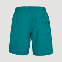 Vert 16'' Swim Shorts | Blue Coral