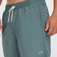 Vert 16'' Swim Shorts | North Atlantic