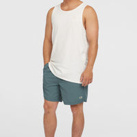 Vert 16'' Swim Shorts | North Atlantic