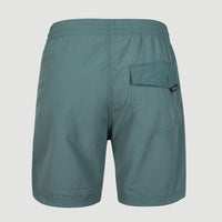 Vert 16'' Swim Shorts | North Atlantic