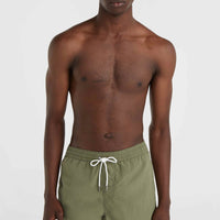 Vert 16'' Swim Shorts | Deep Lichen Green